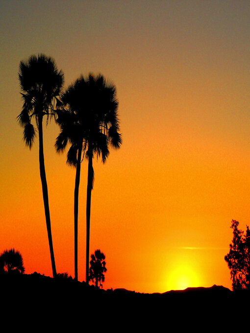 Title details for Sieners, profete of swendelaars? by Koos Greeff - Available